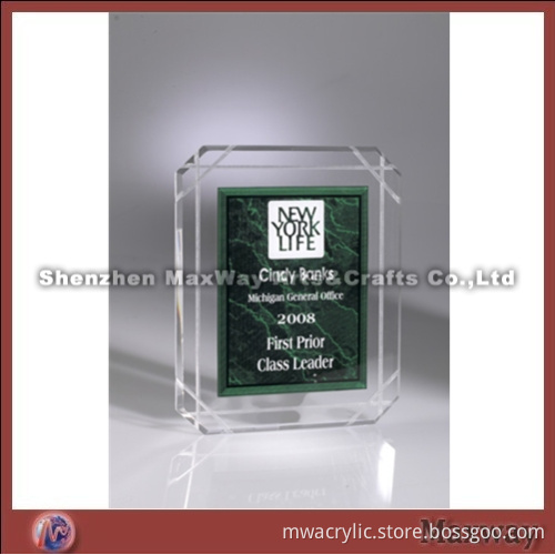 Clear Small Printing Ice Acrylic Award